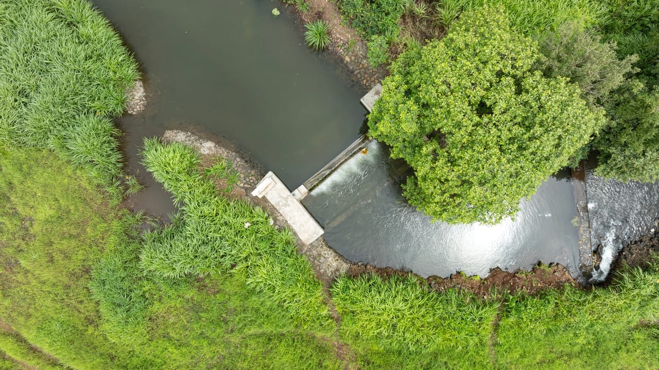 Aerial view of a check dam across a curving, tree-lined stream