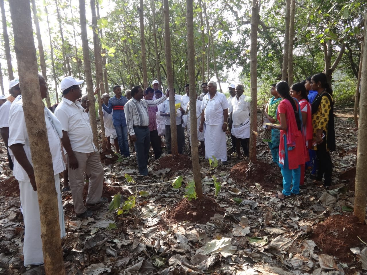 Farmers and women trainees standing in a tree plantation during a field training