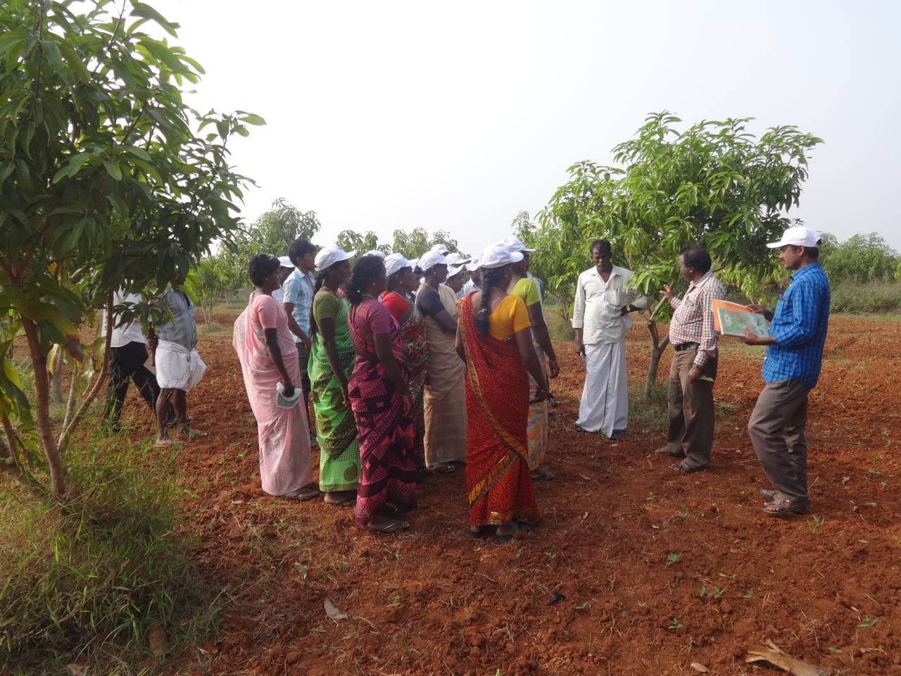 Farmers and women trainees on red soil in a field, listening to an instructor