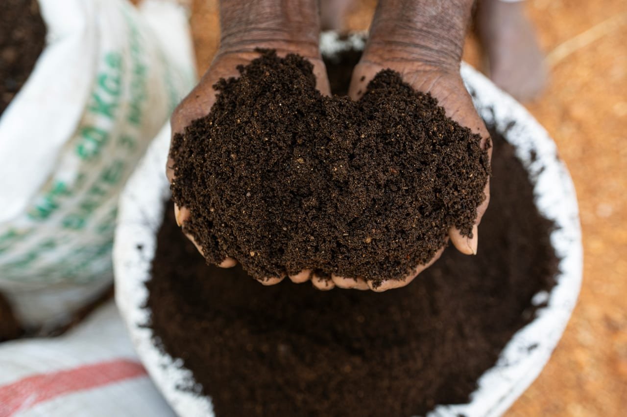 Hands scooping dark vermicompost from a sack