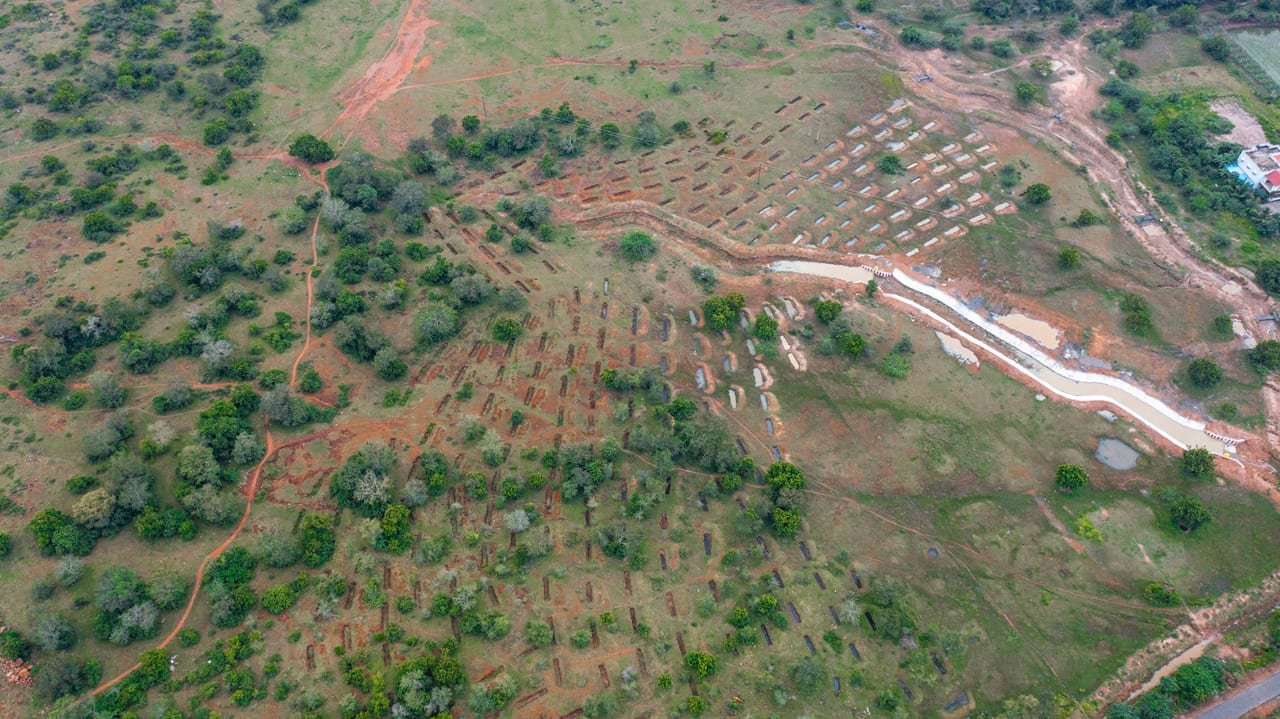 Aerial view of a red-soil hillside with rows of newly planted saplings