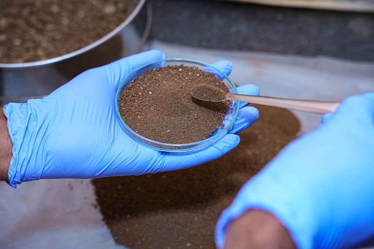 Blue-gloved hands holding a petri dish of soil and a spatula over a soil tray