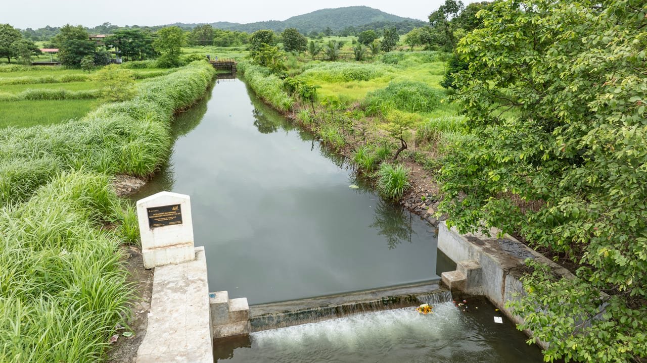 Water spilling over a check dam at the head of a narrow, reed-lined stream