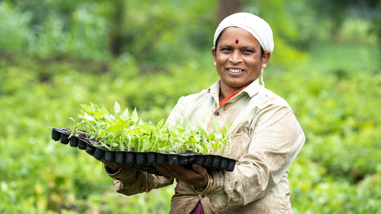 A smiling woman holding a nursery tray of seedlings in a green field